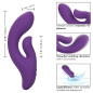 CALEXOTICS - STELLA DUAL PLEASER VIOLA CALEXOTICS - STELLA DUAL PLEASER VIOLA