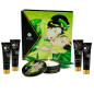 SHUNGA - KIT TÈ VERDE BIOLOGICO GEISHA SEGRETO SHUNGA - KIT TÈ VERDE BIOLOGICO GEISHA SEGRETO