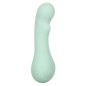 CALEXOTICS - PACIFICA BORA BORA STIMOLATORE PUNTO G 10 VIBRAZIONI AQUA CALEXOTICS - PACIFICA BORA BORA STIMOLATORE PUNTO G 10 VIBRAZIONI AQUA