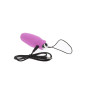 TOYJOY - VIBRATORE ROSA CON TELECOMANDO PER LA FELICITÀ CHE MI FAI CREPUSCOLARE TOYJOY - VIBRATORE ROSA CON TELECOMANDO PER LA FELICITÀ CHE MI FAI CREPUSCOLARE